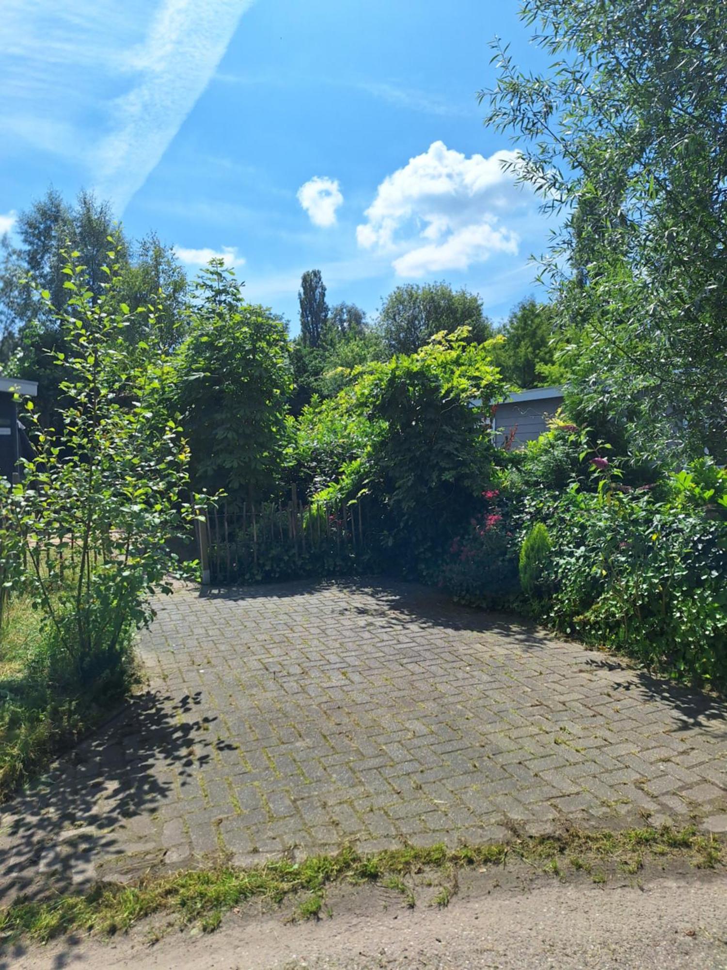 The Bright Side Brabant Villa Molenschot Eksteriør billede